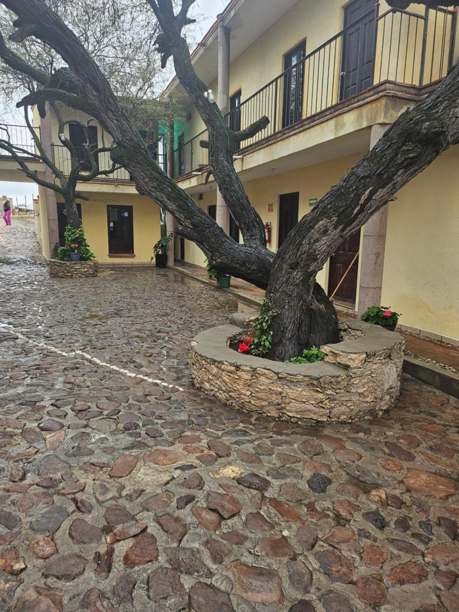 Hotel Villa Aurora Bernal Buitenkant foto